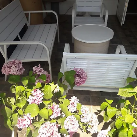 Guest house Apartmani Nis Nis