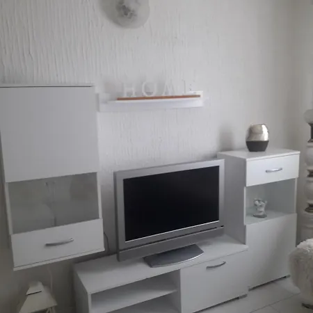 ゲストハウス Apartmani Nis